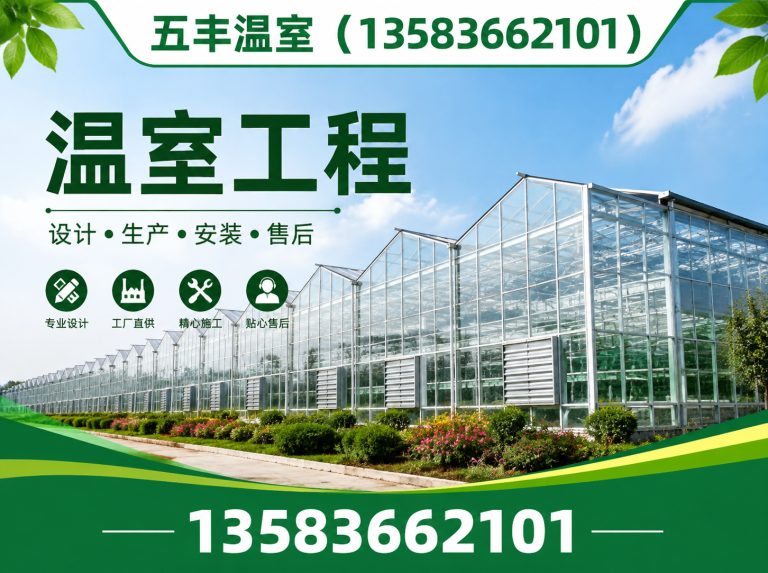 昌邑市大棚建设展示图